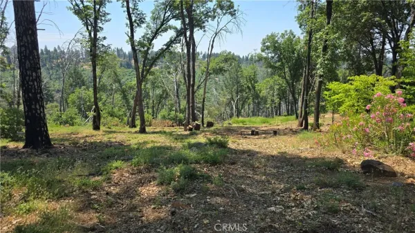 a view of outdoor space with lots of trees