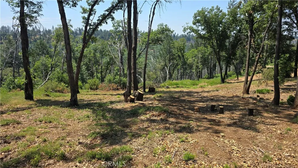 0 Adrian Magalia, CA 95954 - Photo 10 of 20 a view of a tree in a yard