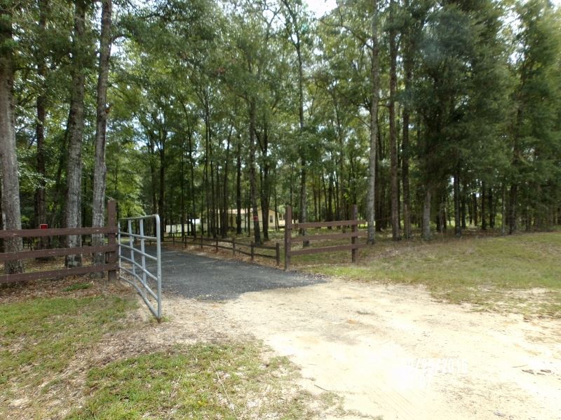 177 Northeast Reagan Road Madison, FL 32340 - Photo 1 of 25 Gallery Image 1