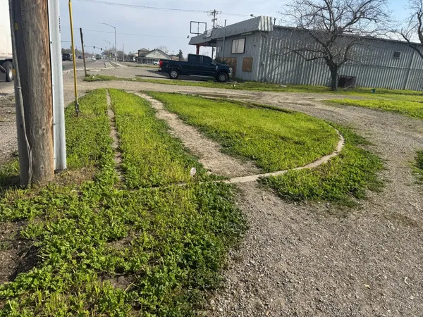 a view of a swimming pool with a garden