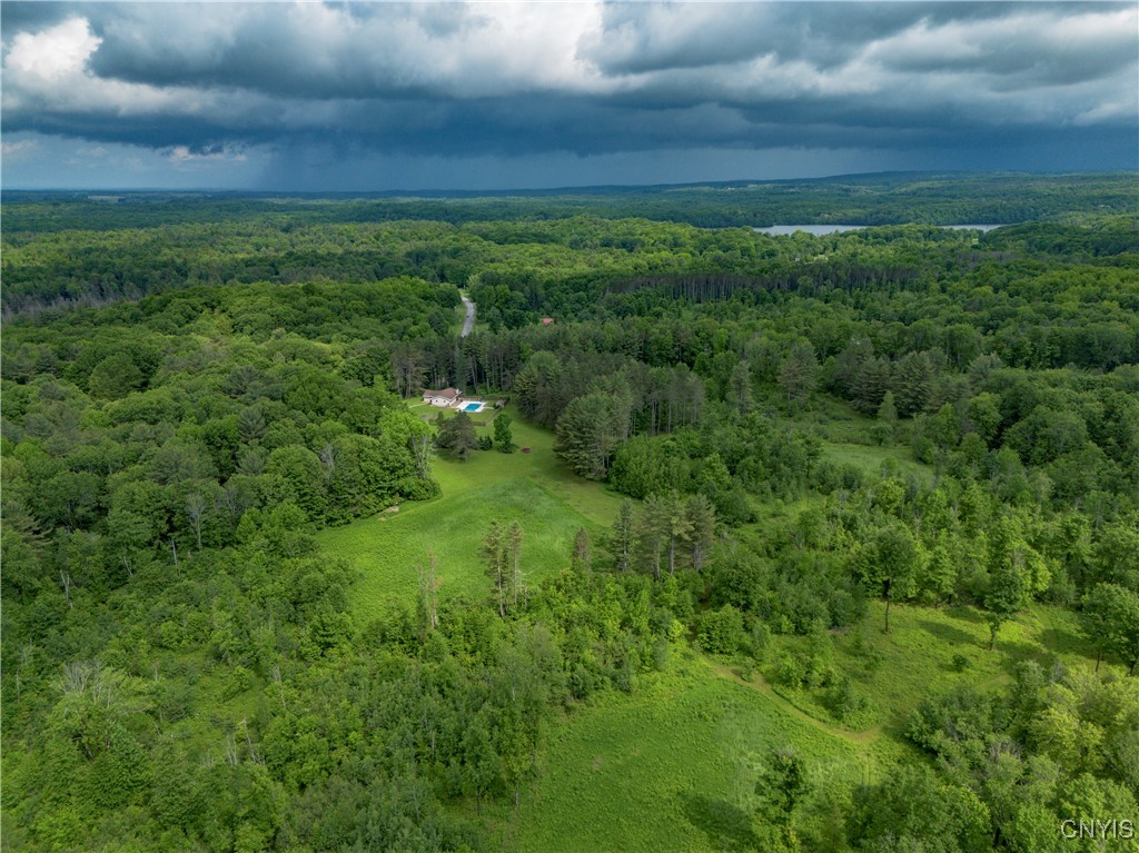 217 Sloperville Road Altmar, NY 13302 - Photo 33 of 47 Food plots, trails, fruit trees, nut-bearing trees