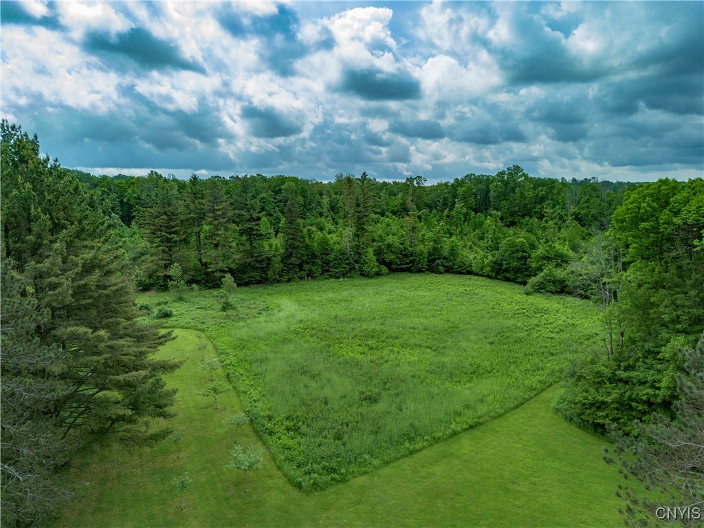 217 Sloperville Road Altmar, NY 13302 - Photo 36 of 47