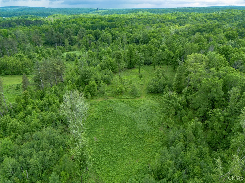 217 Sloperville Road Altmar, NY 13302 - Photo 39 of 47