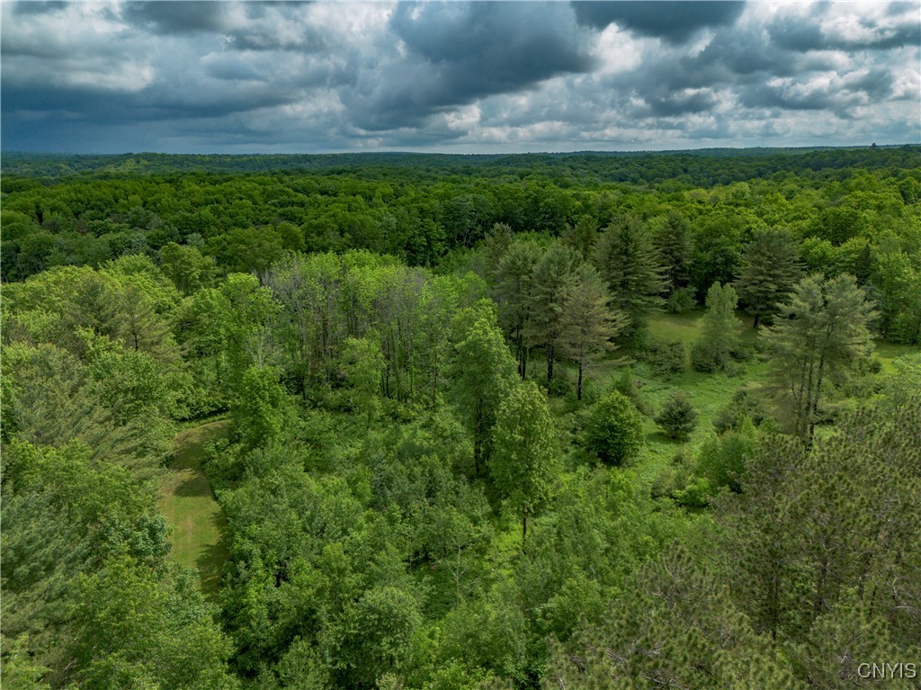 217 Sloperville Road Altmar, NY 13302 - Photo 40 of 47