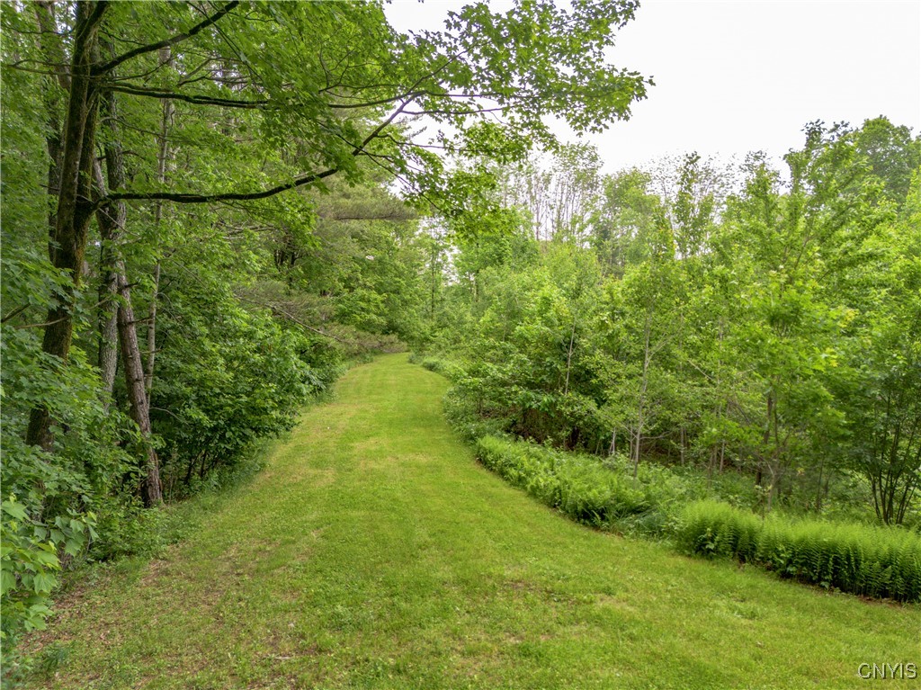 217 Sloperville Road Altmar, NY 13302 - Photo 41 of 47