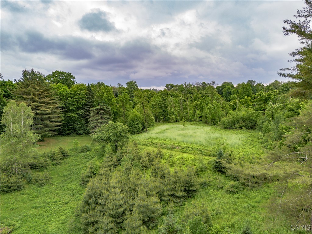 217 Sloperville Road Altmar, NY 13302 - Photo 42 of 47