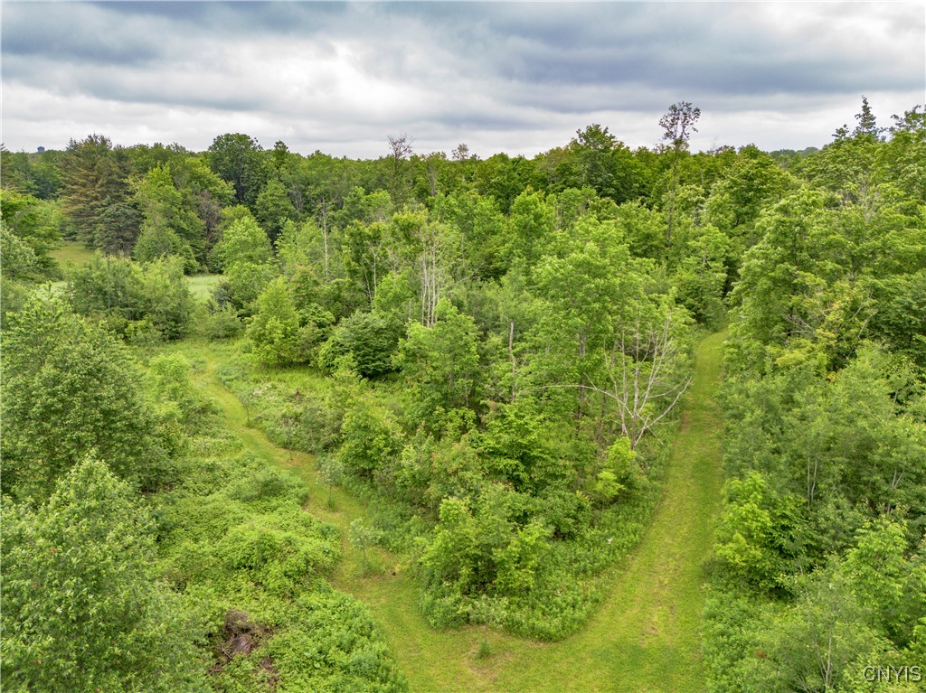 217 Sloperville Road Altmar, NY 13302 - Photo 43 of 47