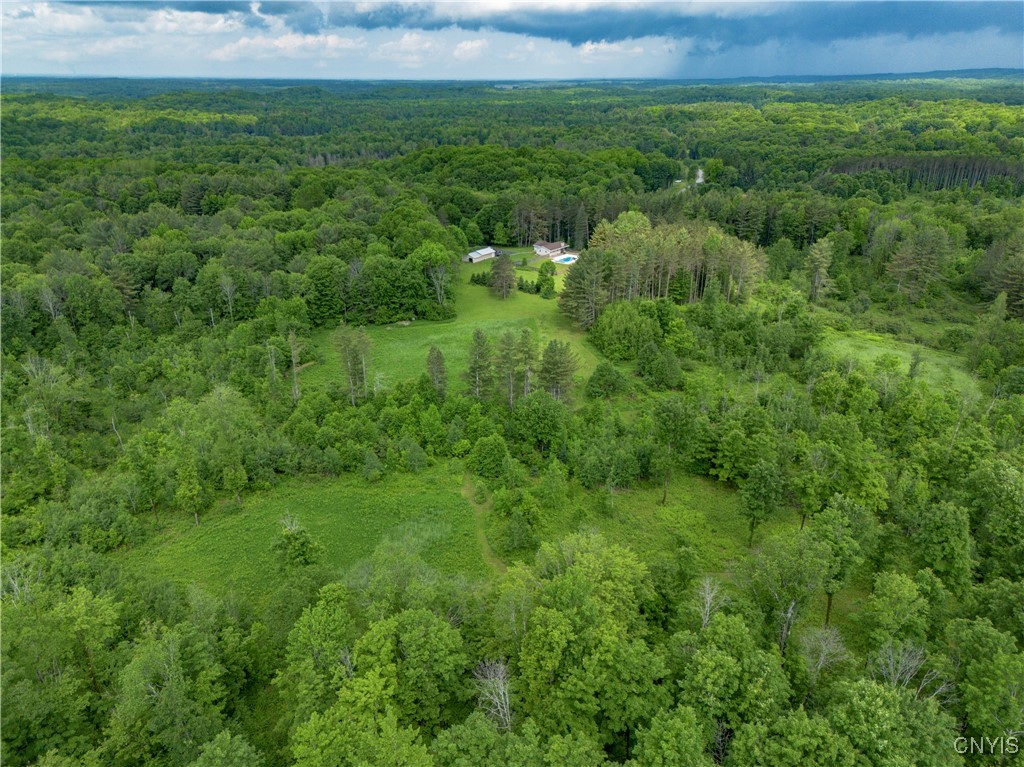 217 Sloperville Road Altmar, NY 13302 - Photo 5 of 47 Manicured trails, woods, food plots, treated soil