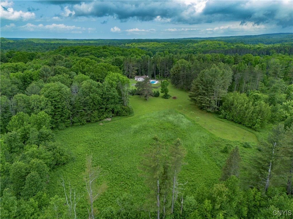 217 Sloperville Road Altmar, NY 13302 - Photo 6 of 47