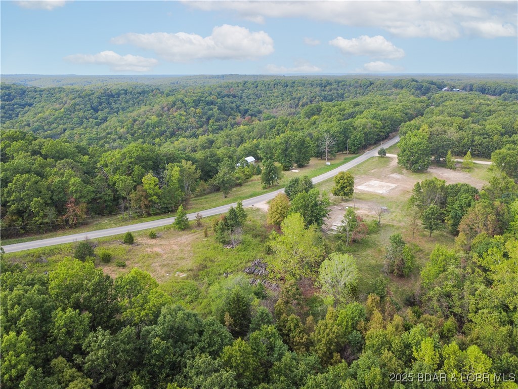 746 Velvet Antler Road Camdenton, MO 65020 - Photo 13 of 54 View from the Southeastern Corner of the Property