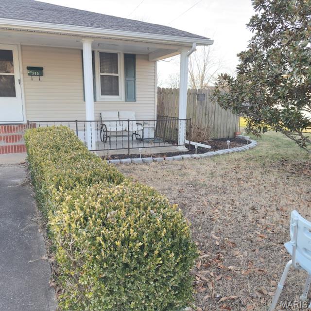 305 North James Street Sparta, IL 62286 - Photo 3 of 12