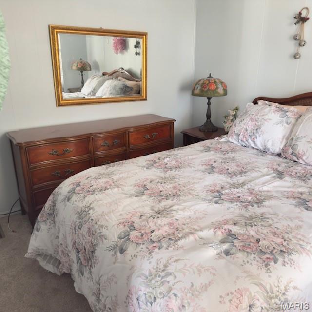 305 North James Street Sparta, IL 62286 - Photo 6 of 12