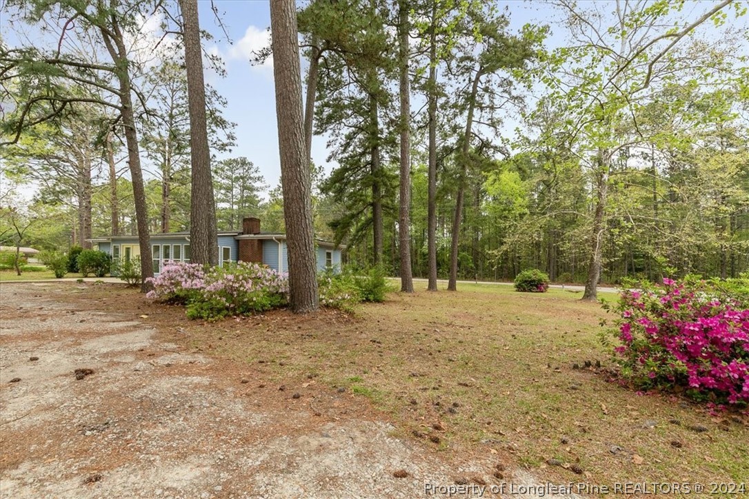 650 McKay Drive Spring Lake, NC 28390 - Photo 36 of 37 a view of a yard with plants and trees