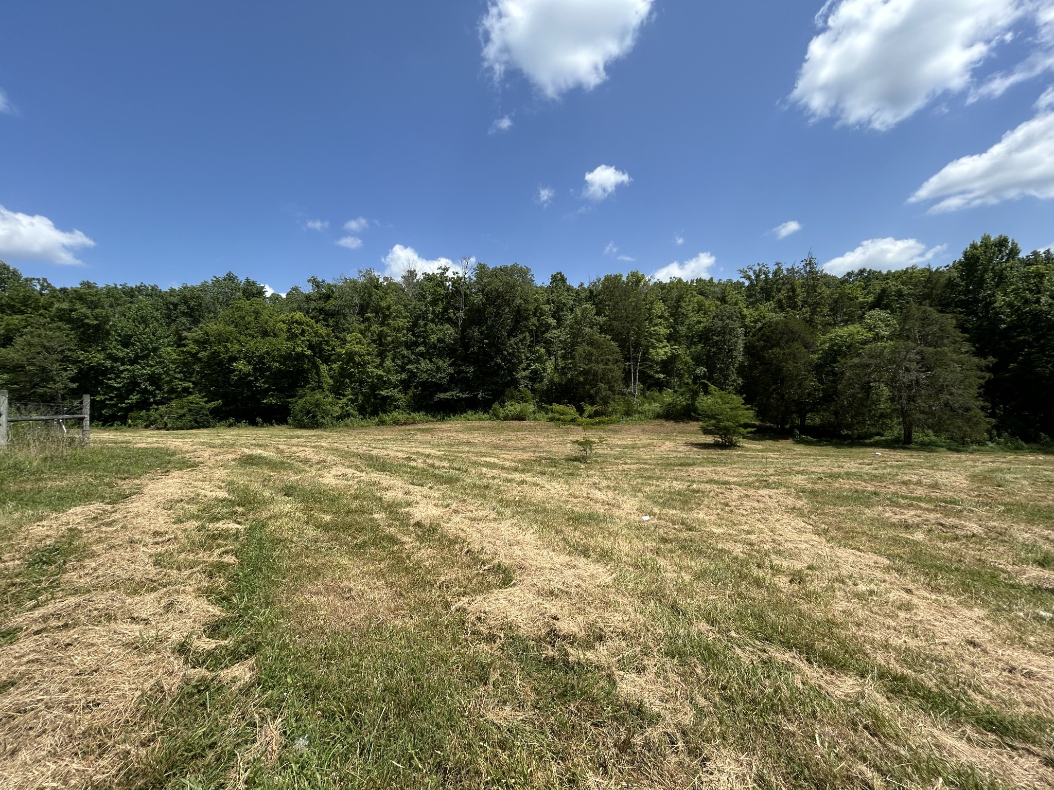 1 New Hope Cemetery Road Pulaski, TN 38478 - Photo 4 of 21