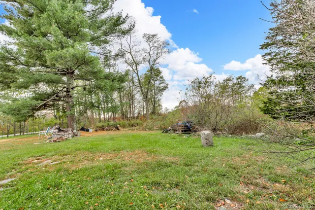 a view of a park with large trees