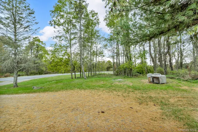 a view of backyard with green space
