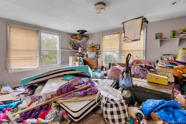 a view of a big yard with plants and large trees