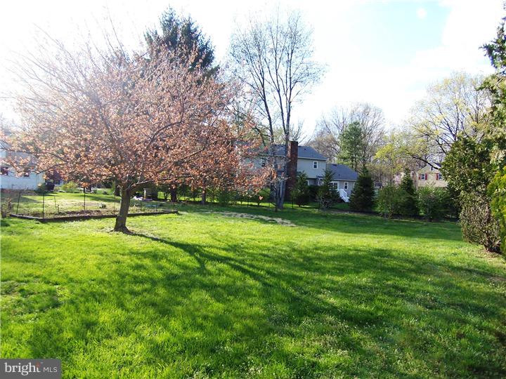 676 Village Road West Princeton Junction, NJ 08550 - Photo 14 of 16 Back Yard