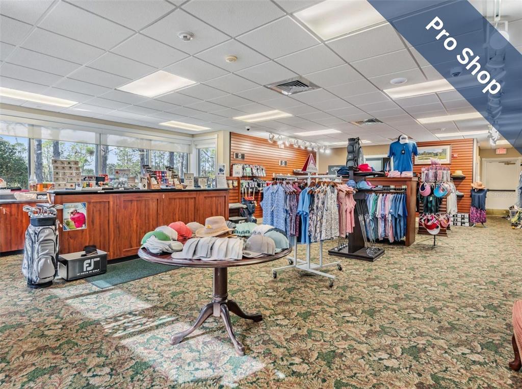 1751 Lakestone Drive Trinity, FL 34655 - Photo 34 of 51 a view of a room with gym equipment