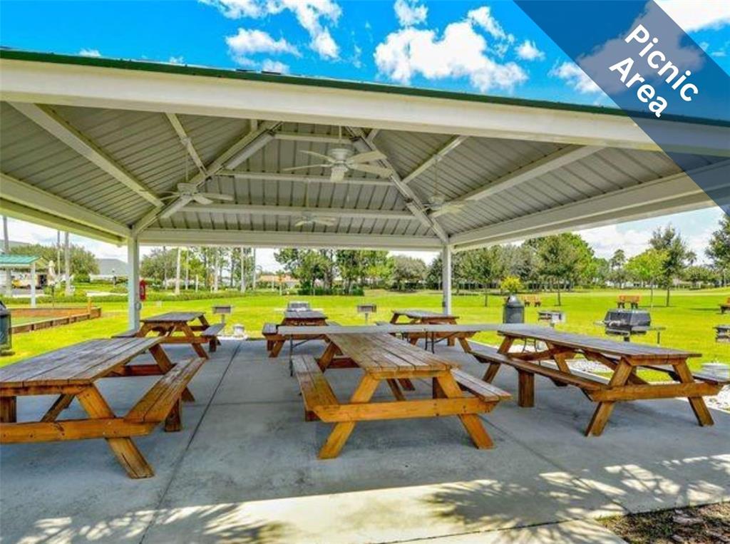 1751 Lakestone Drive Trinity, FL 34655 - Photo 38 of 51 a view of swimming pool with outdoor seating yard