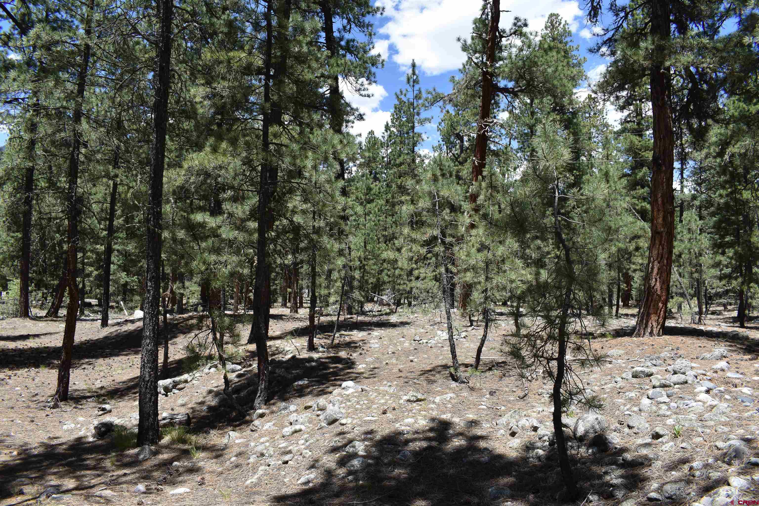 80 Ranch Road Bayfield, CO 81122 - Photo 2 of 20