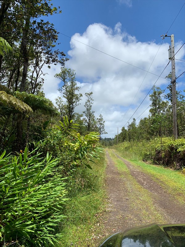 11-3139 Ohukapu Road Mountain View, HI 96771 - Photo 3 of 4 a view of a yard with an trees