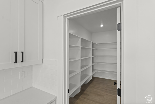 205 East 690th Street North Logan, UT 84321 - Photo 33 of 52 Walk-in pantry featuring extensive shelving, recessed lighting, and wood-finish flooring