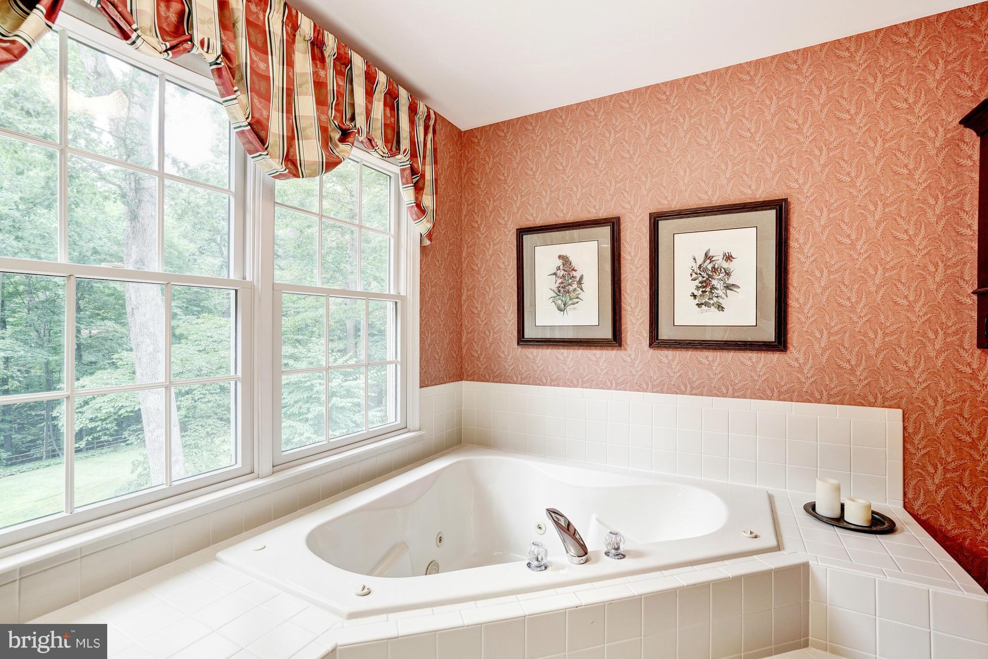 8240 Honeysuckle Road Manassas, VA 20112 - Photo 17 of 29 Bath (Master)
