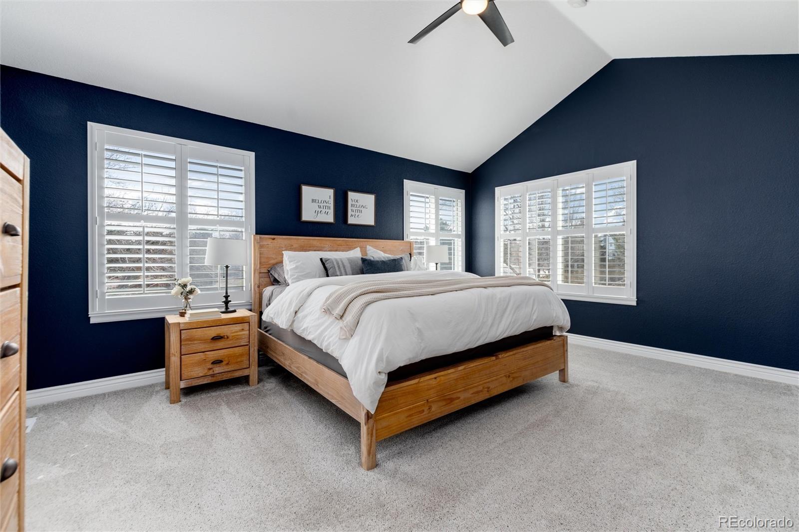 9704 Spring Hill Street Highlands Ranch, CO 80129 - Photo 20 of 41