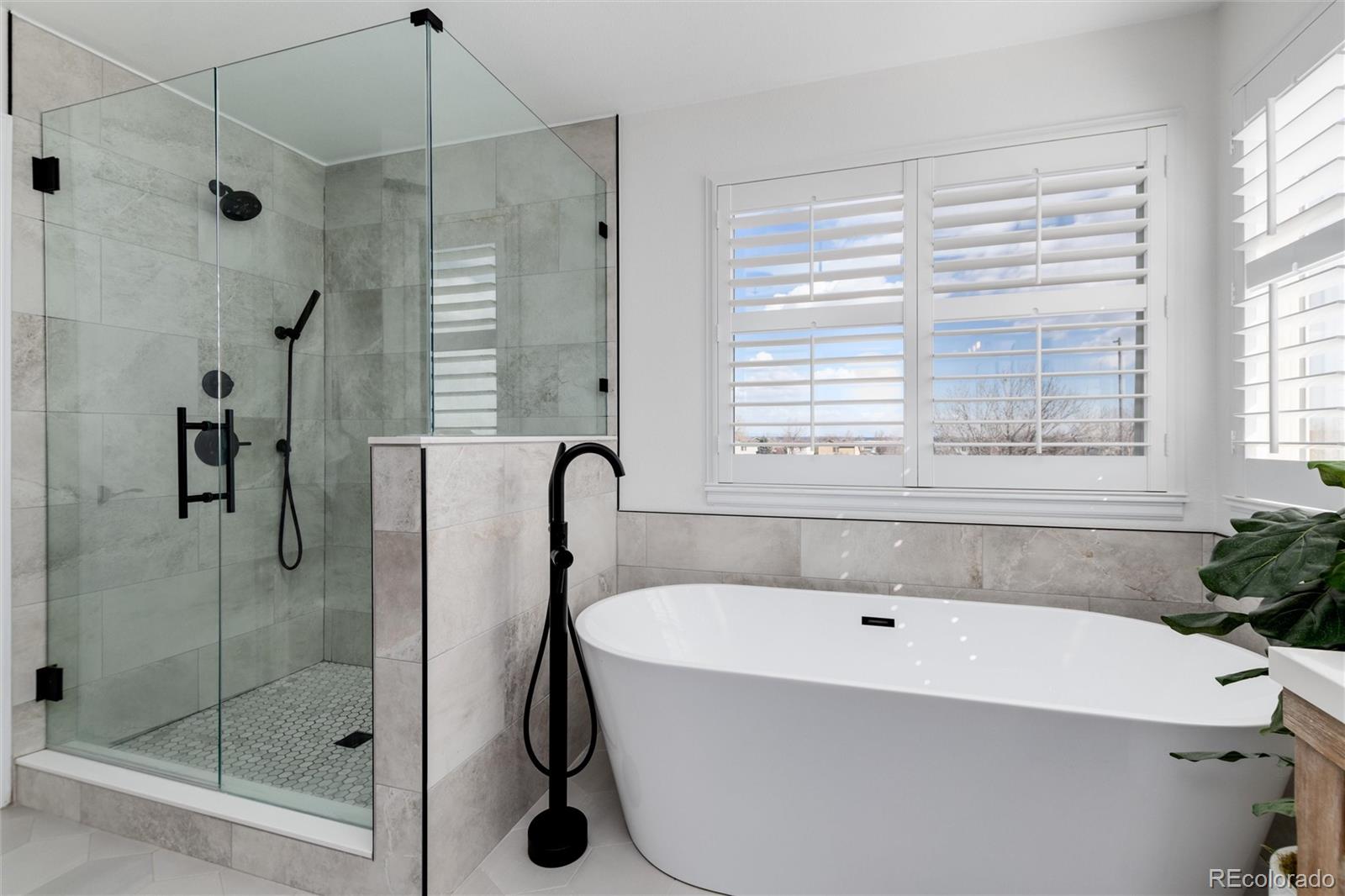 9704 Spring Hill Street Highlands Ranch, CO 80129 - Photo 23 of 41