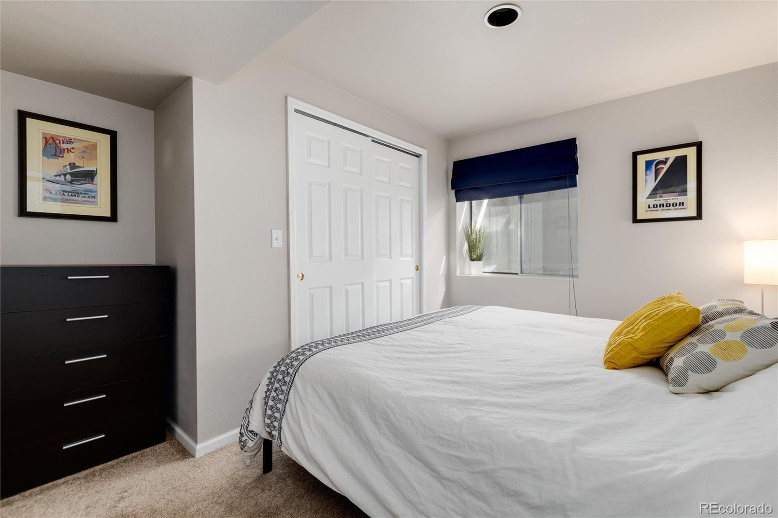 9704 Spring Hill Street Highlands Ranch, CO 80129 - Photo 30 of 41