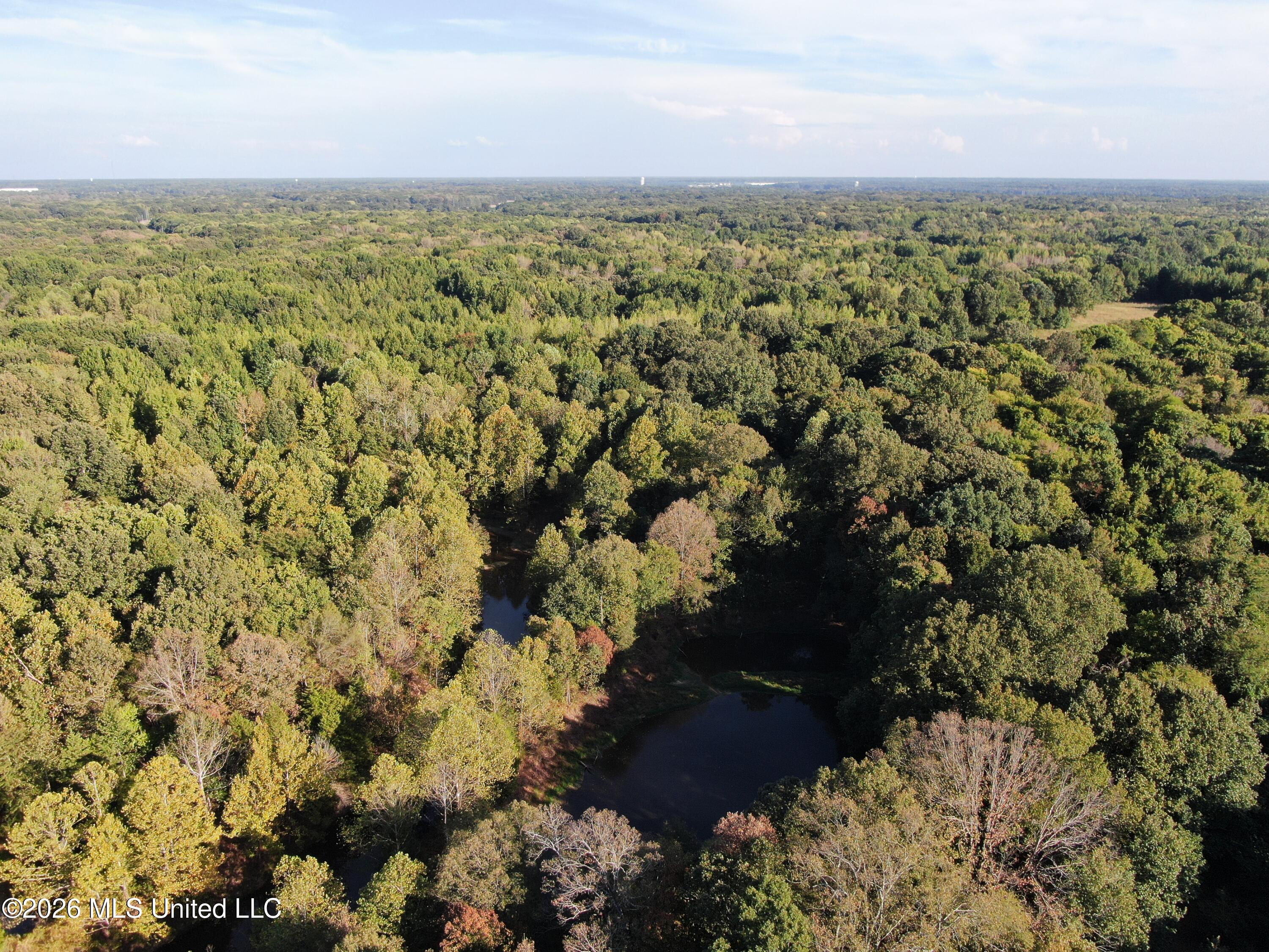 15 Tulane Road Nesbit, MS 38651 - Photo 8 of 64 DJI_0220