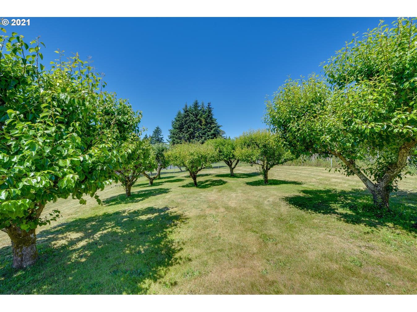1265 South 35th Place Ridgefield, WA 98642 - Photo 31 of 32