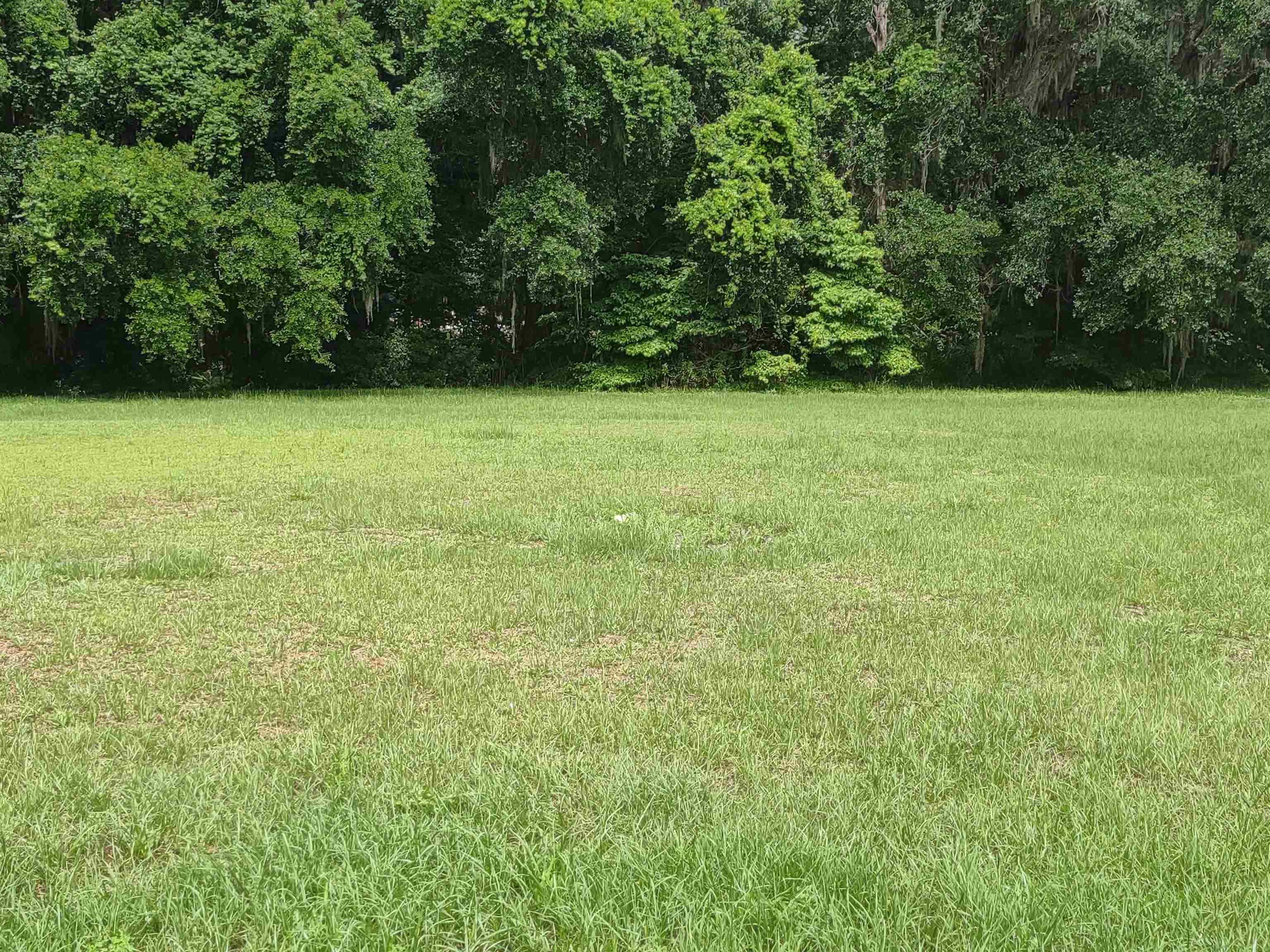 2920 Slaughter Road Perry, FL 32347 - Photo 8 of 19