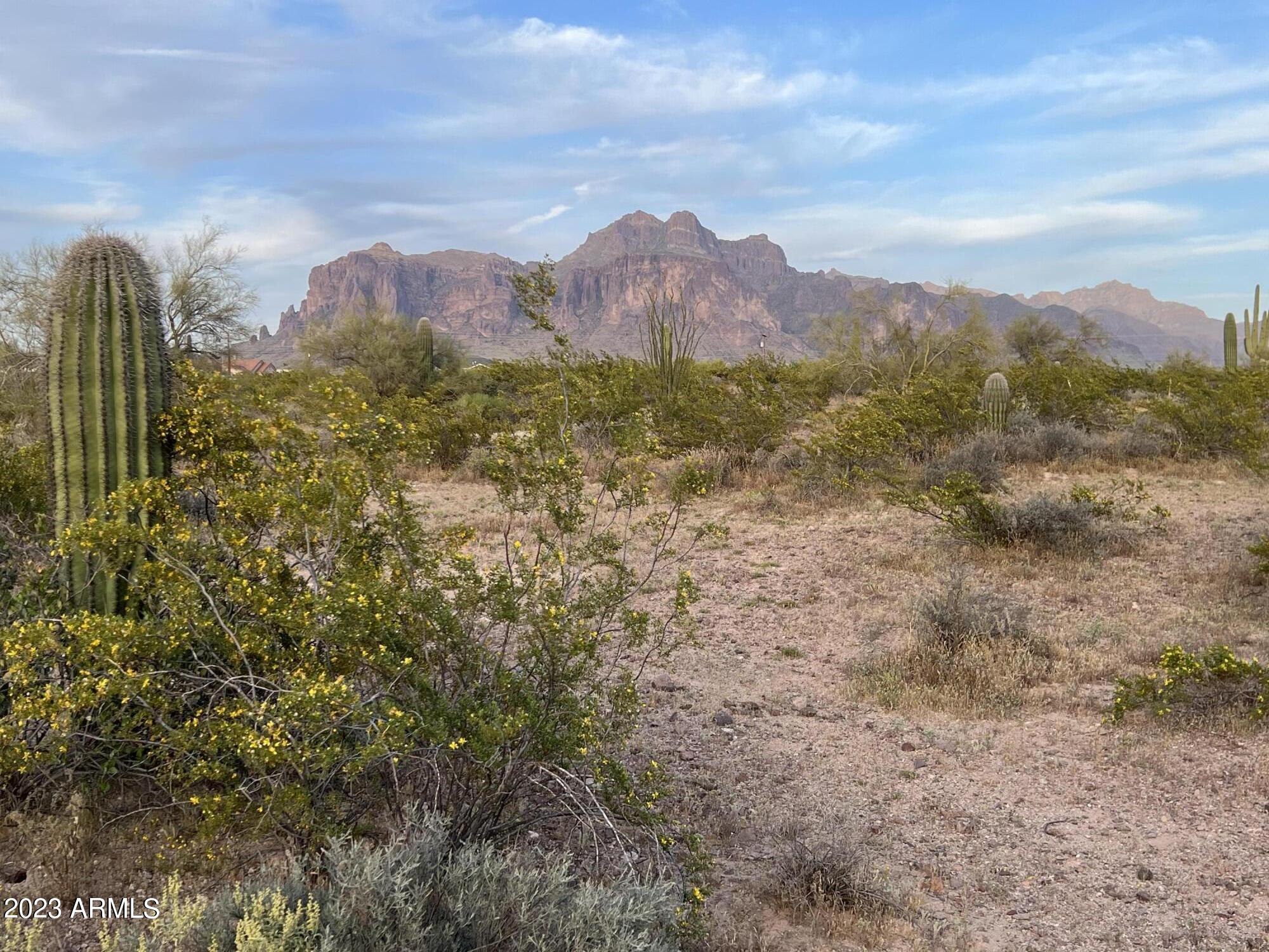 0 North Bowman Road, Unit 1 Apache Junction, AZ 85119 - Photo 1 of 8 IMG_6137