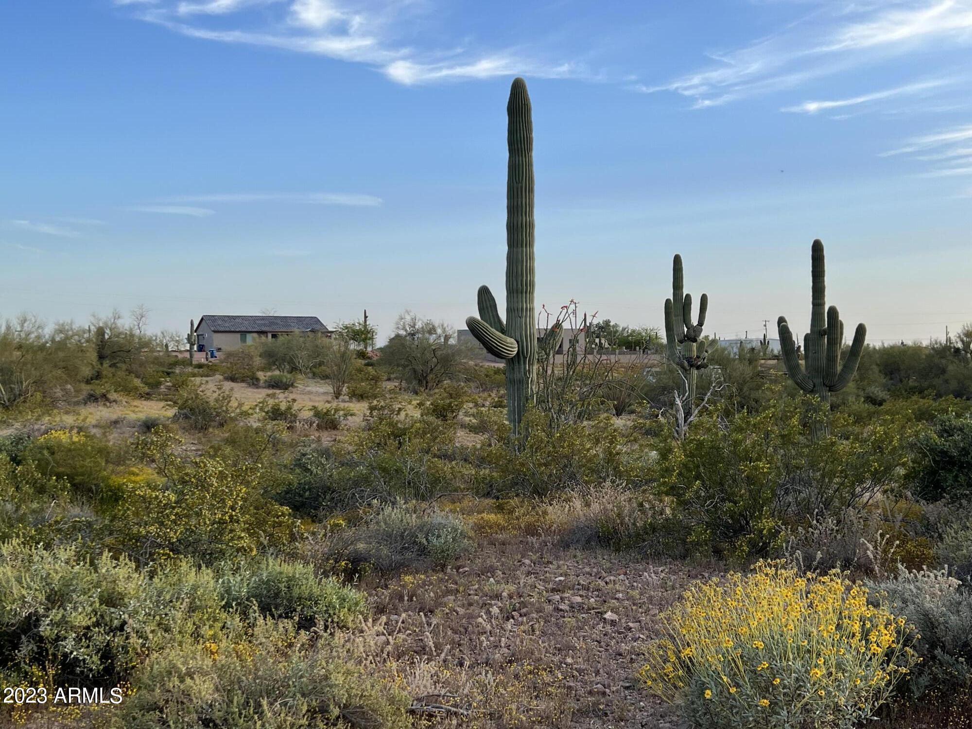 0 North Bowman Road, Unit 1 Apache Junction, AZ 85119 - Photo 2 of 8 IMG_6133