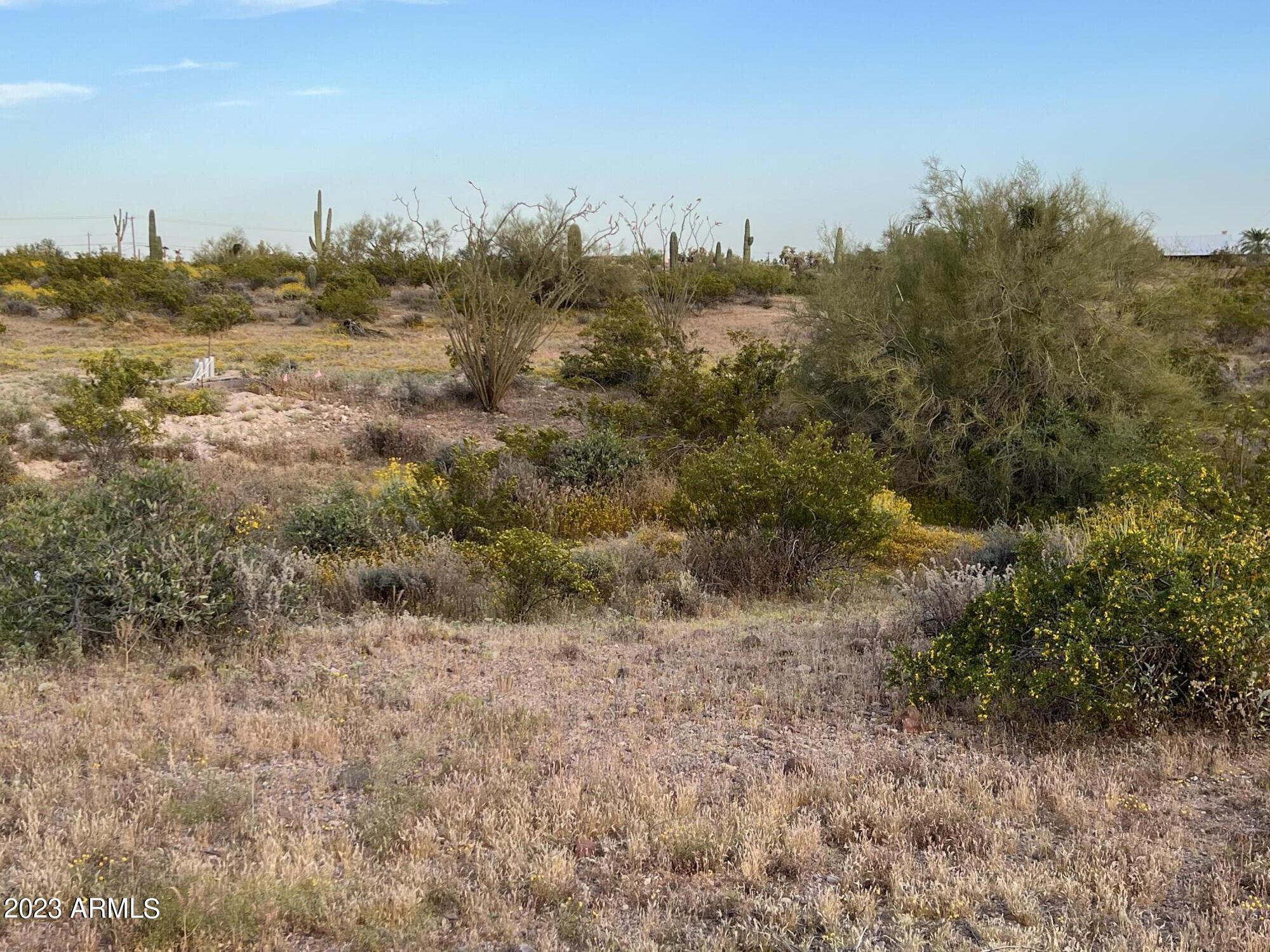 0 North Bowman Road, Unit 1 Apache Junction, AZ 85119 - Photo 3 of 8 IMG_6135