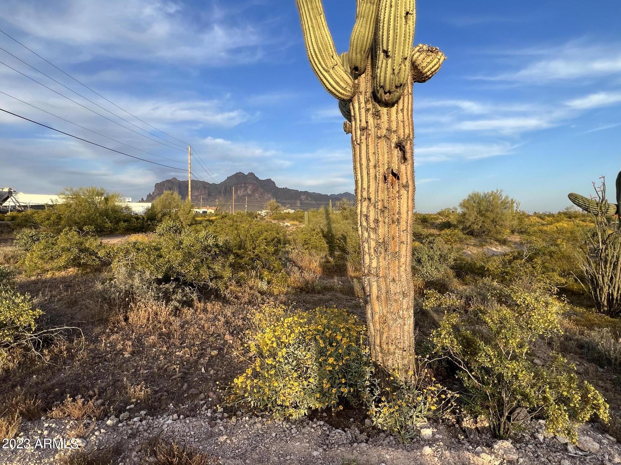0 North Bowman Road, Unit 1 Apache Junction, AZ 85119 - Photo 6 of 8 IMG_6141