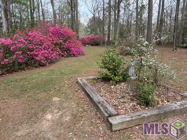 10894 Bains Road St. Francisville, LA 70775 - Photo 29 of 42