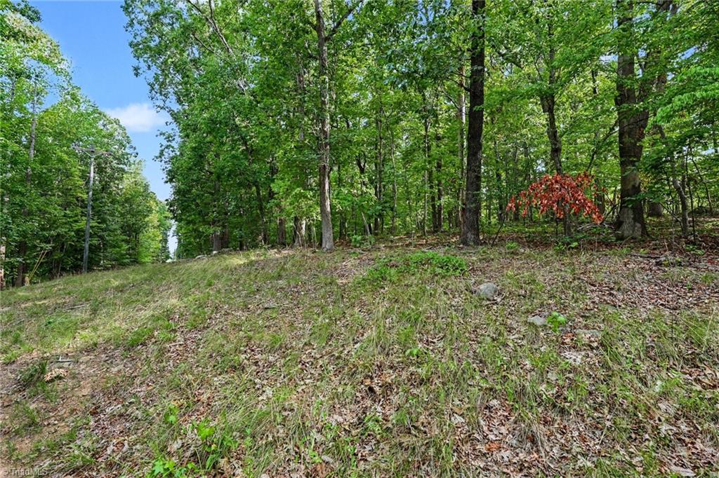0 Luck Road Asheboro, NC 27205 - Photo 8 of 19 Gallery Image 8