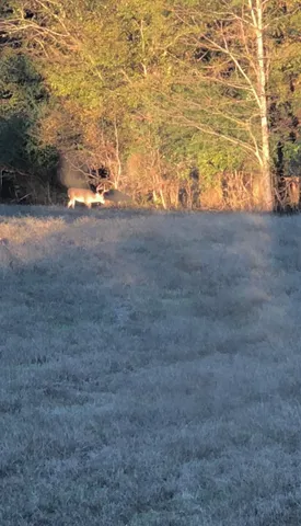 $349,900 | 0 Old Brownsville Road, Somerville, TN 38068