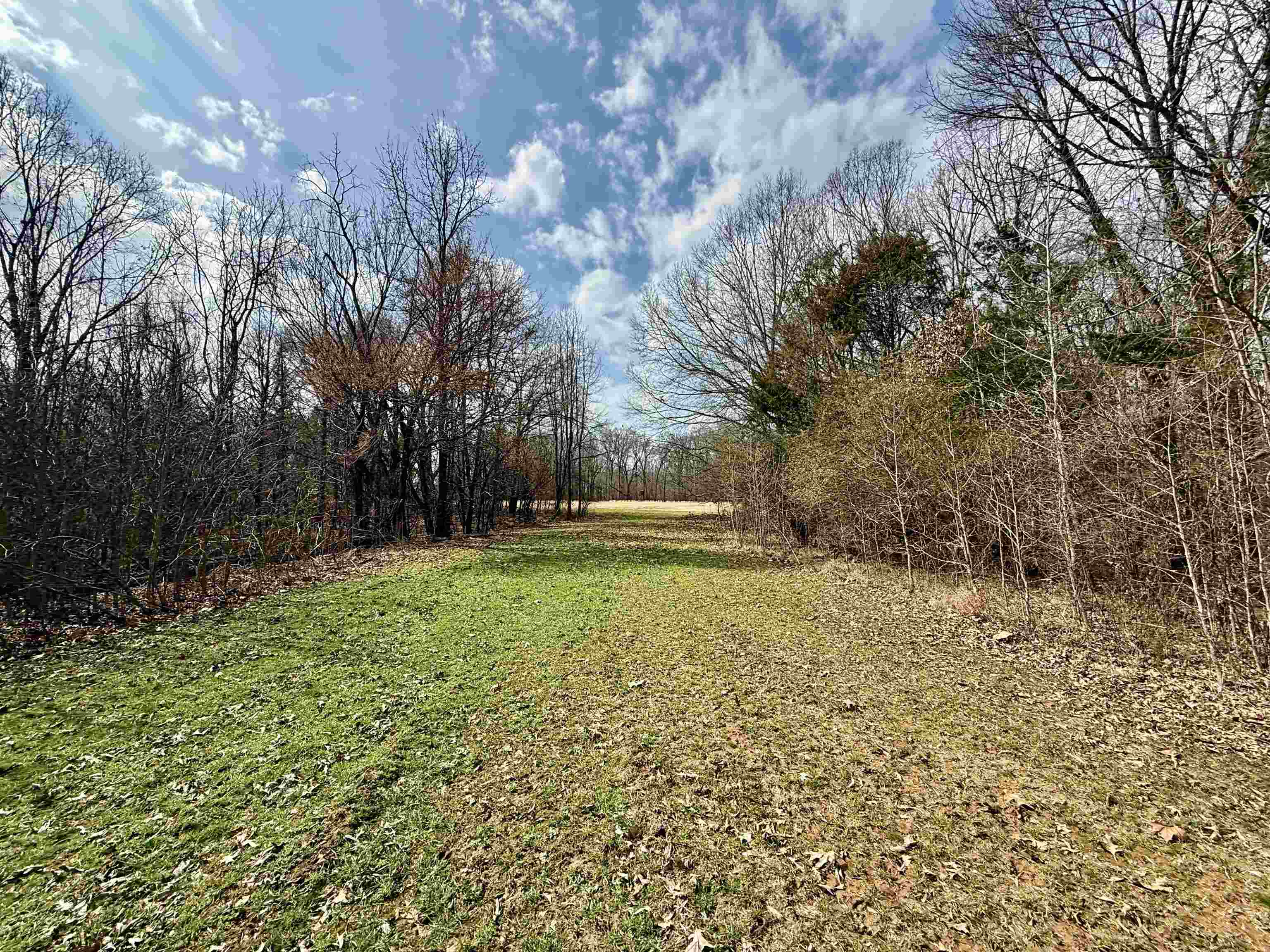 0 Old Brownsville Road Somerville, TN 38068 - Photo 1 of 40