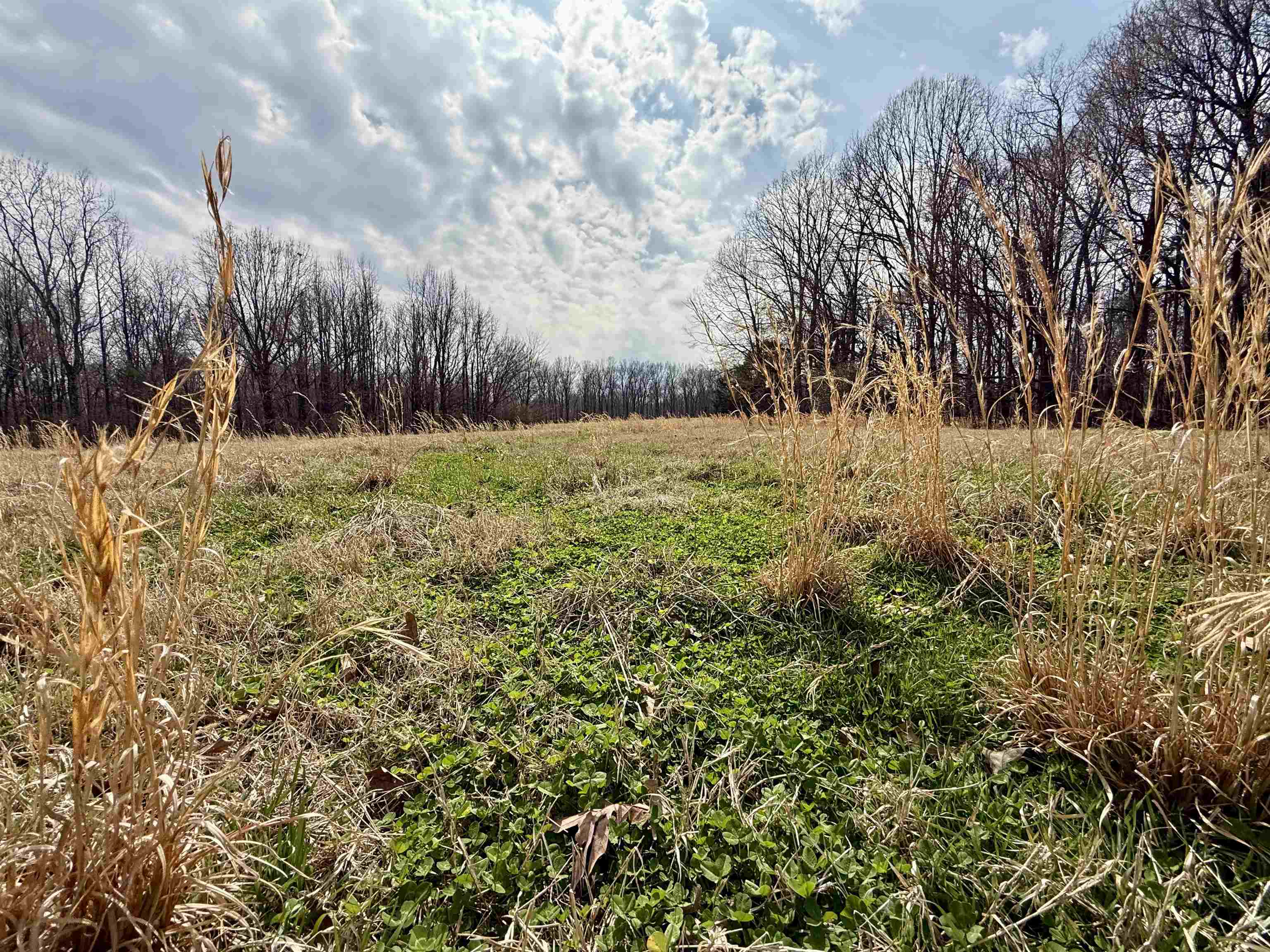 0 Old Brownsville Road Somerville, TN 38068 - Photo 11 of 40