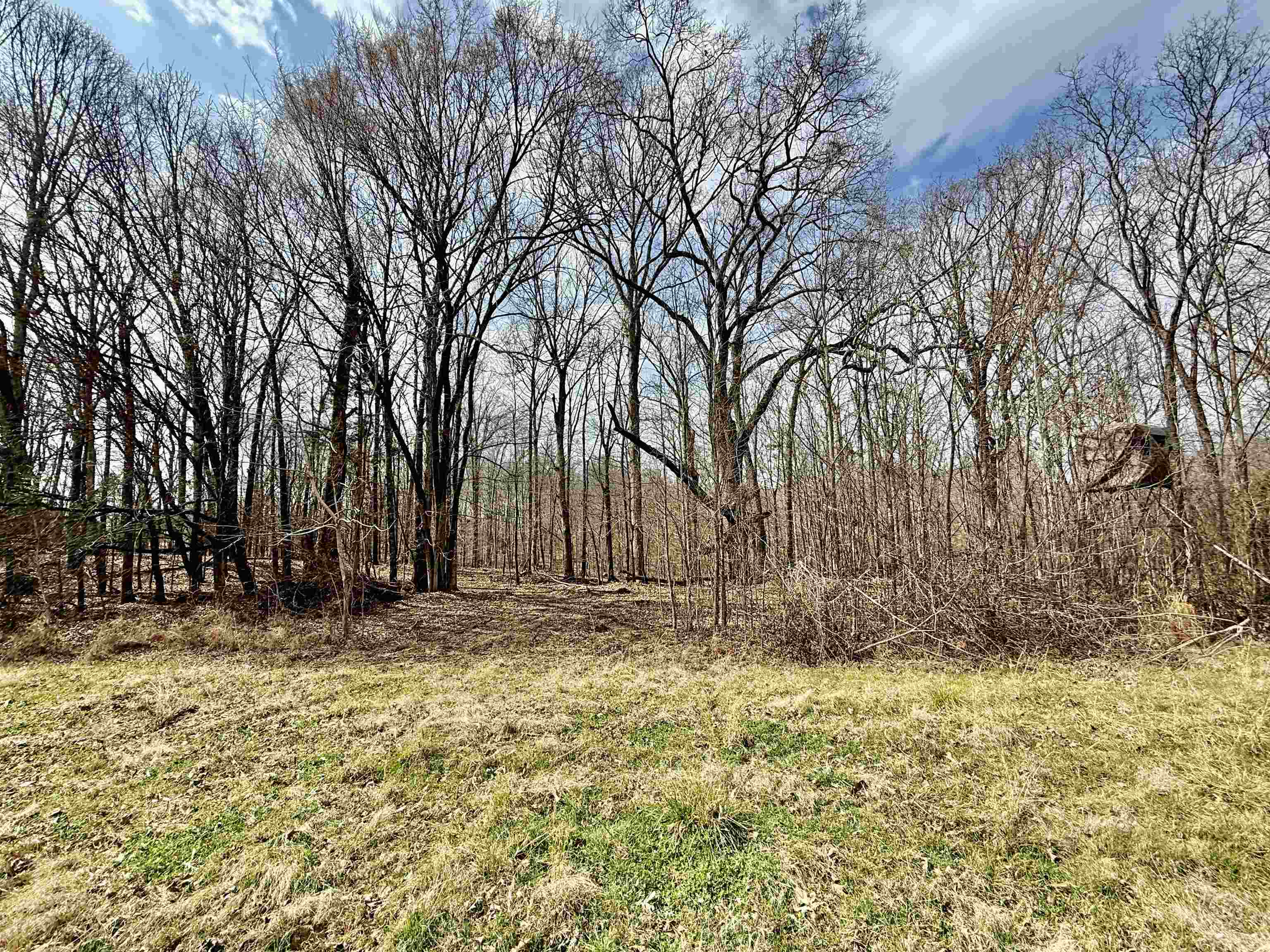 0 Old Brownsville Road Somerville, TN 38068 - Photo 12 of 40