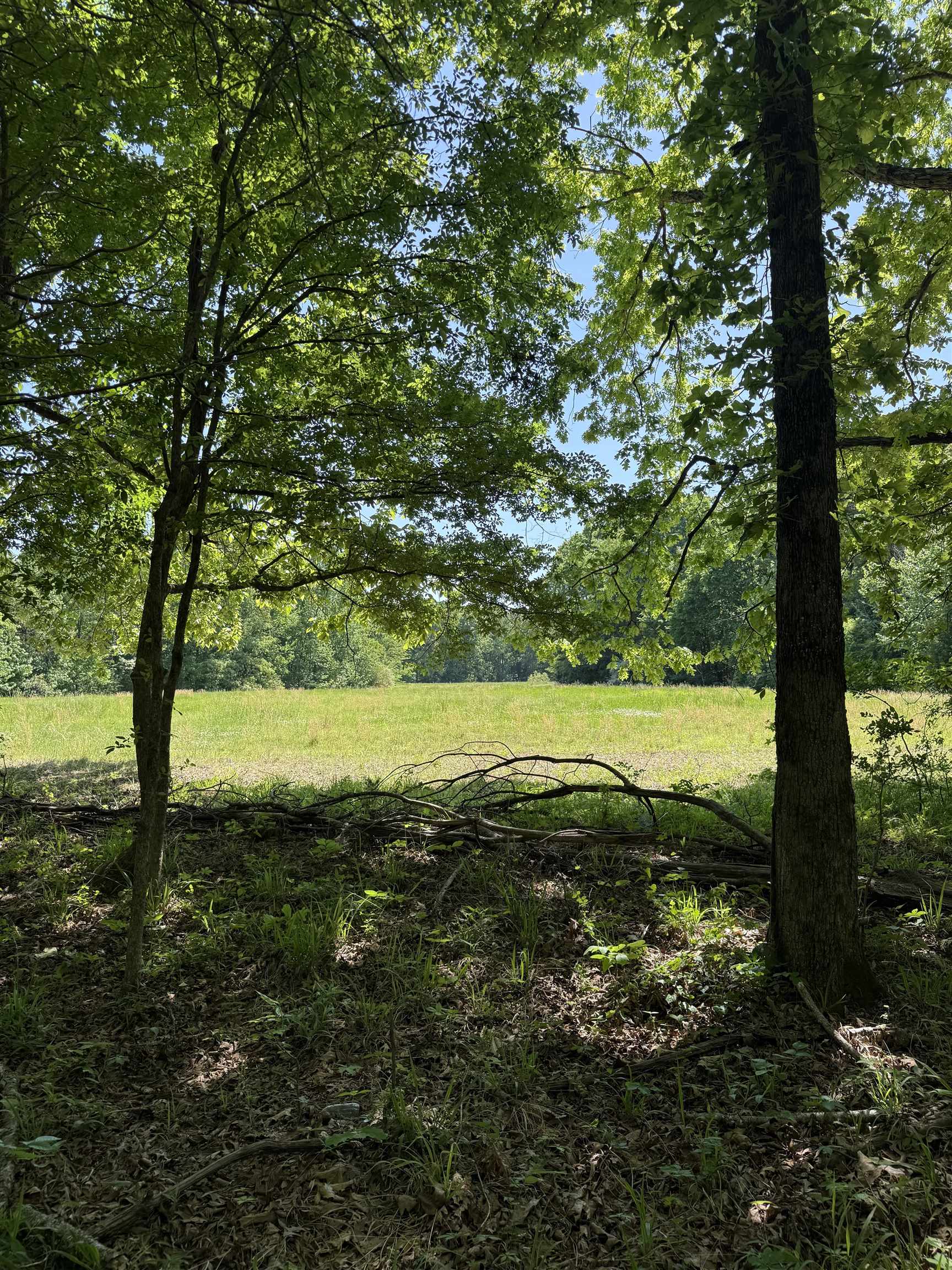 0 Old Brownsville Road Somerville, TN 38068 - Photo 13 of 40