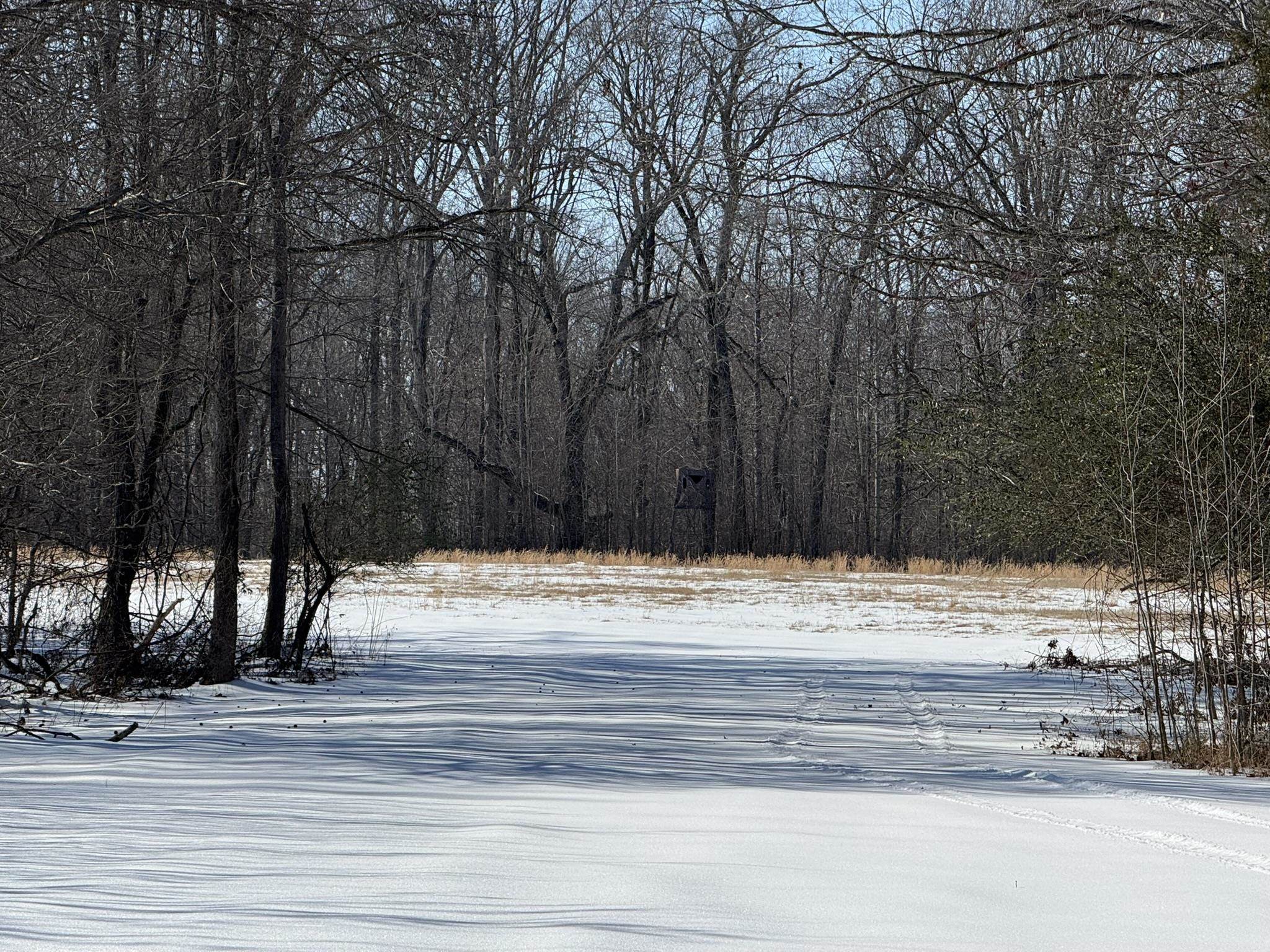 0 Old Brownsville Road Somerville, TN 38068 - Photo 14 of 16