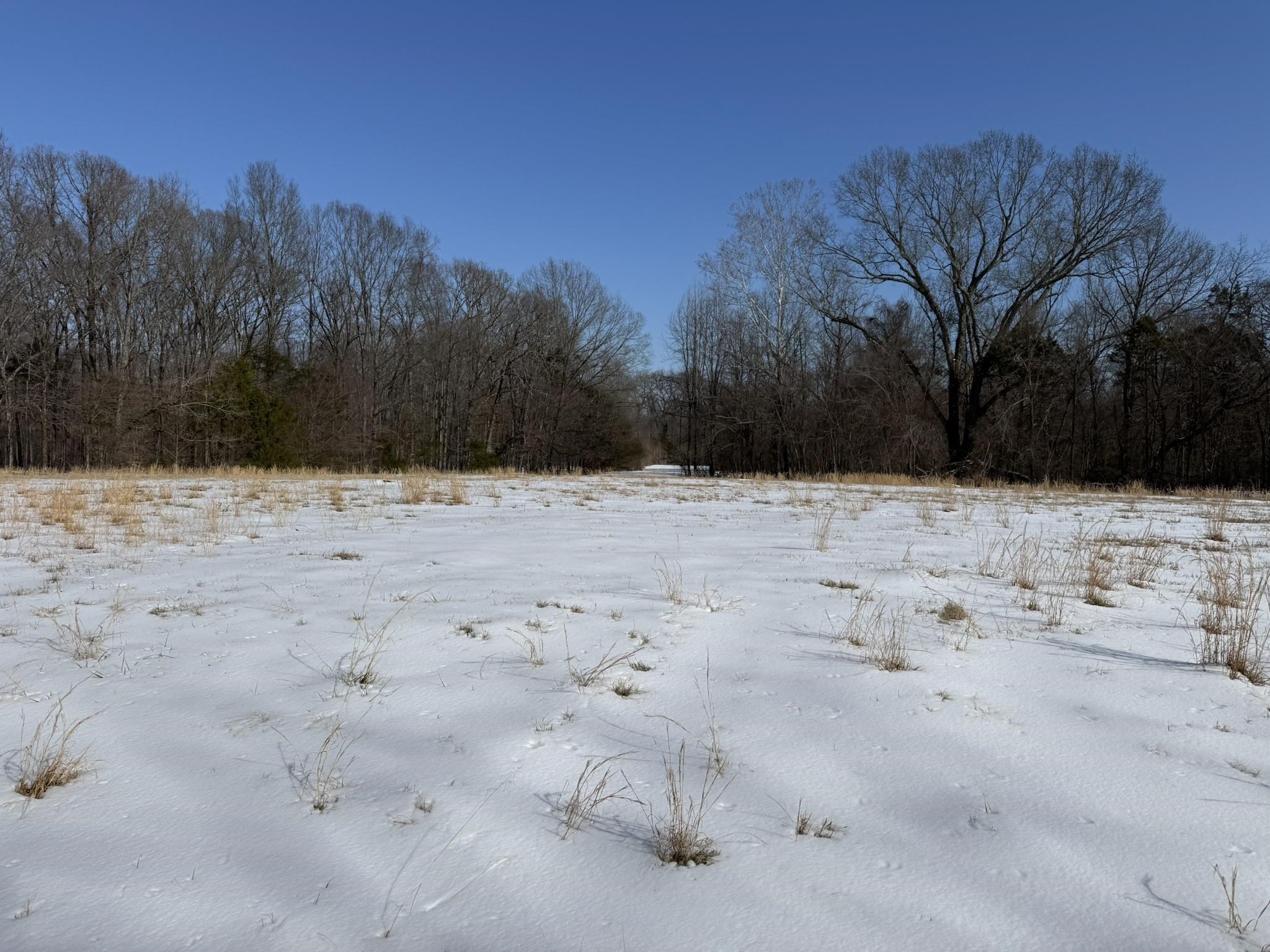 0 Old Brownsville Road Somerville, TN 38068 - Photo 16 of 16