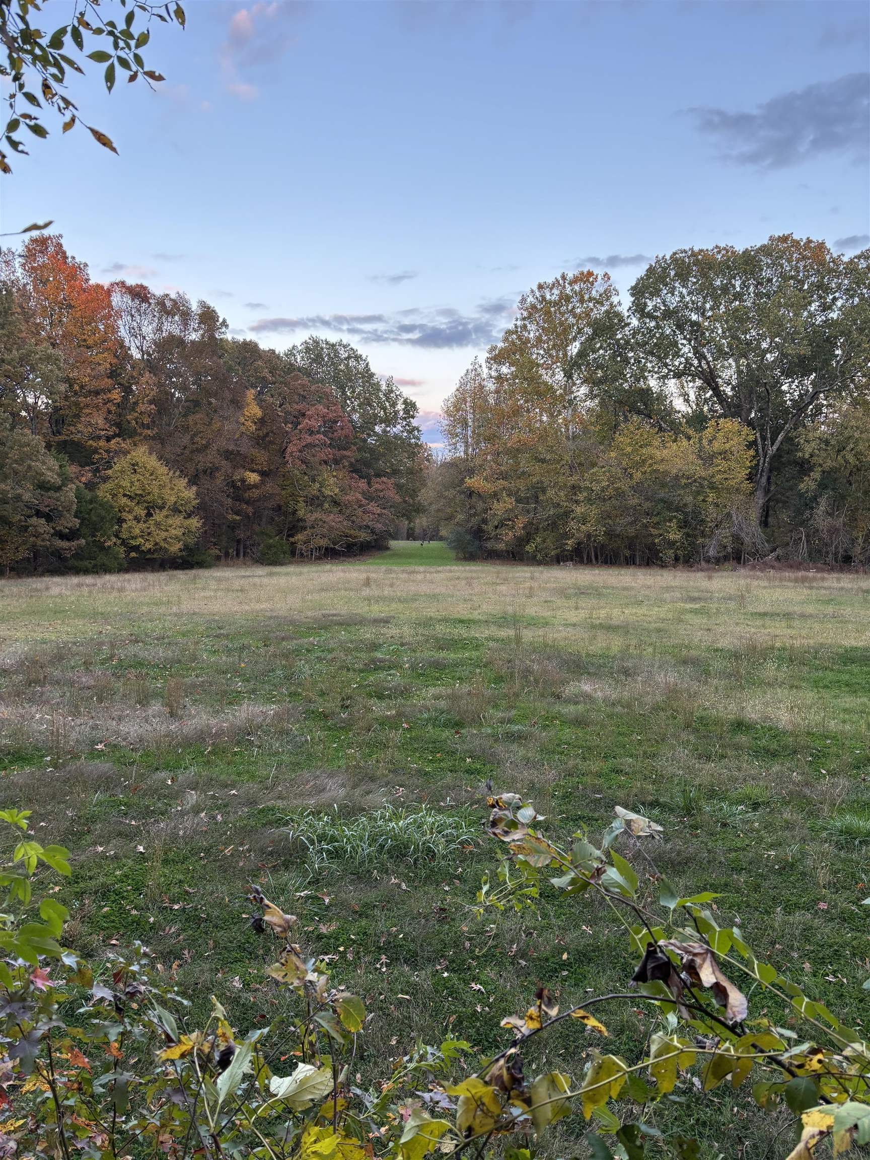 0 Old Brownsville Road Somerville, TN 38068 - Photo 18 of 40