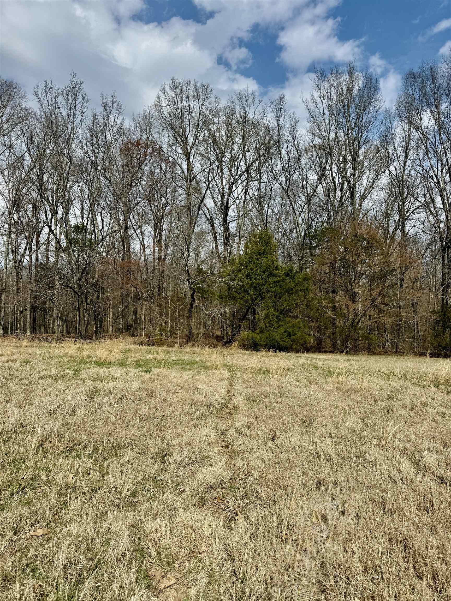 0 Old Brownsville Road Somerville, TN 38068 - Photo 20 of 40