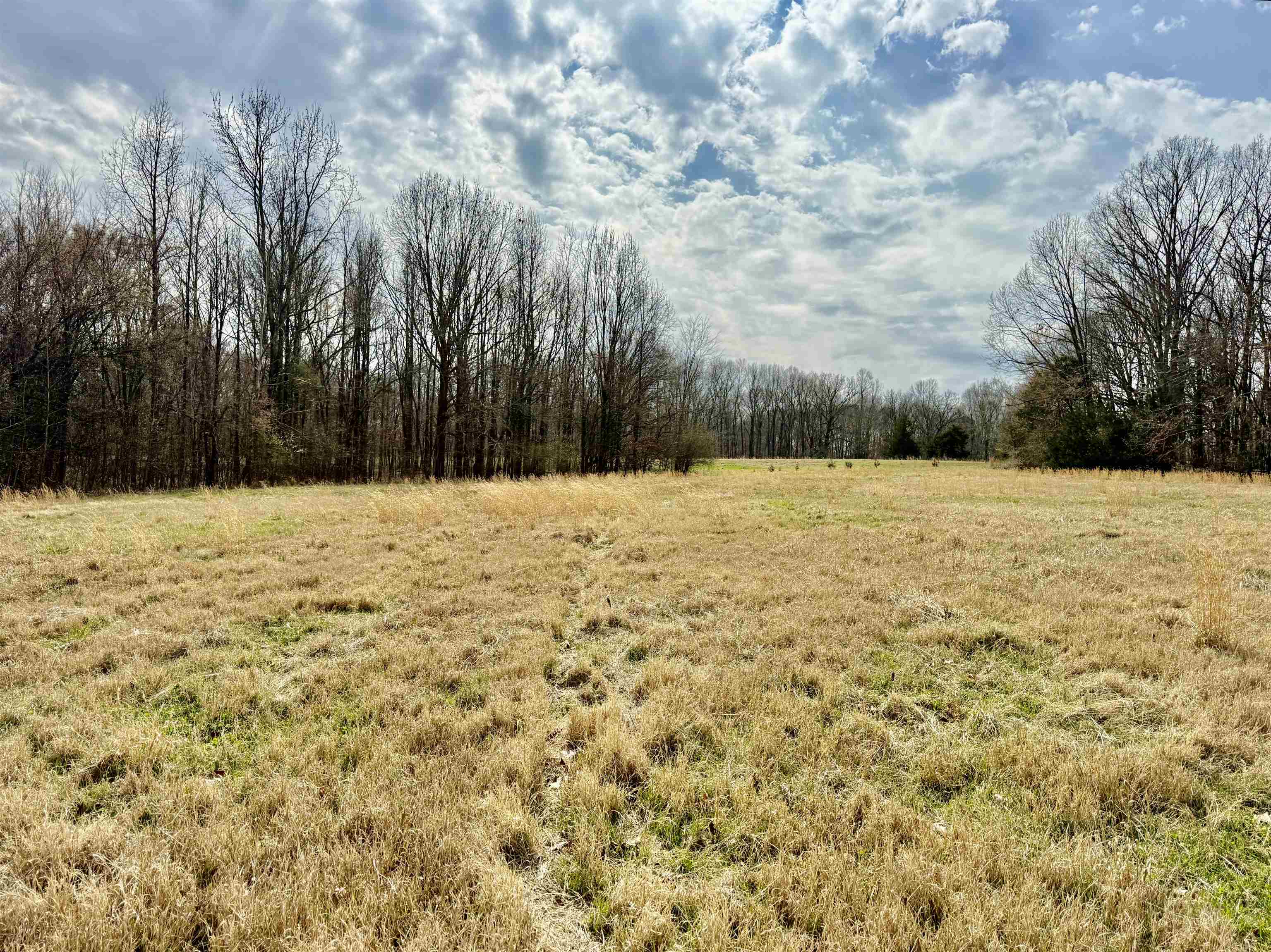 0 Old Brownsville Road Somerville, TN 38068 - Photo 21 of 40